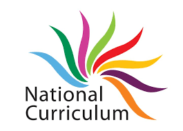Curriculum