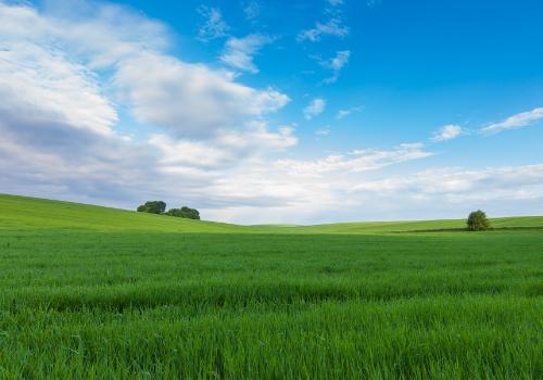 placeholder_landscape.jpg